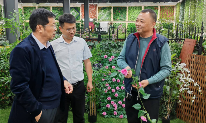 圖片13.png 圖片13.png